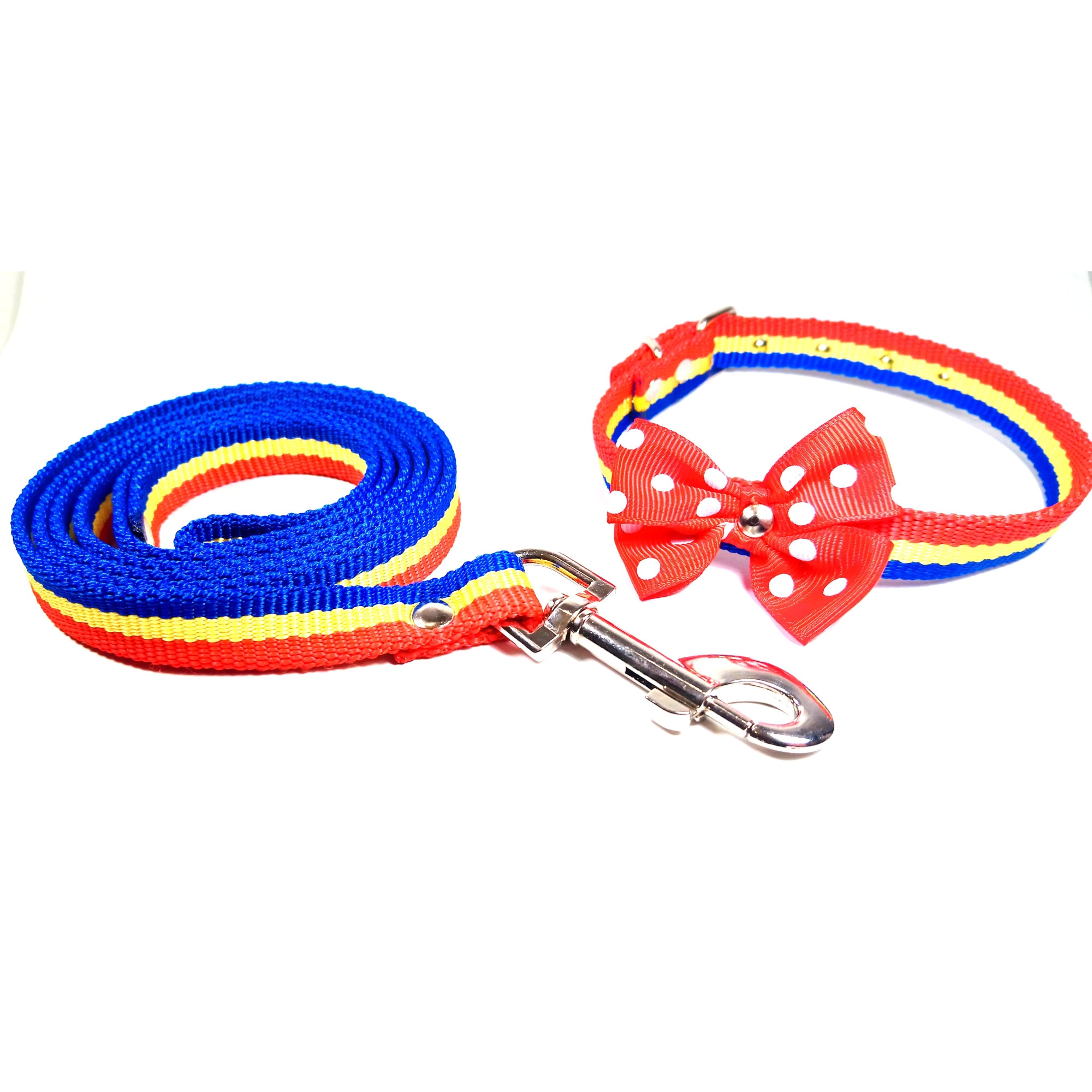 Set zgarda si lesa din chinga tricolor 15 mm latime