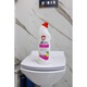 Detartrant pentru WC, Casidor, lichid, 750ml