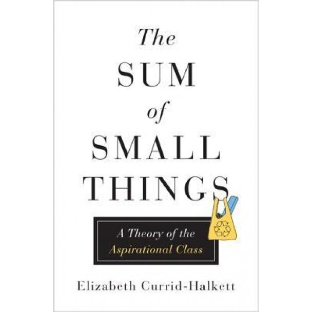 The Sum of Small Things: A Theory of the Aspirational Class, Elizabeth Currid-Halkett (Author)