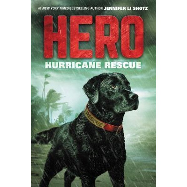 Hero: Hurricane Rescue, Jennifer Li Shotz (Author)