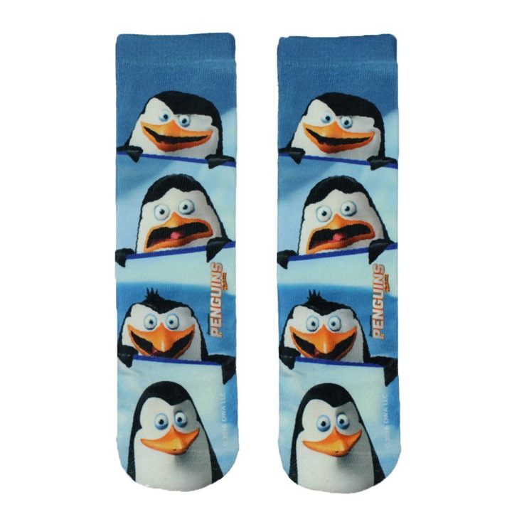 Sosete Pinguins, Albastru