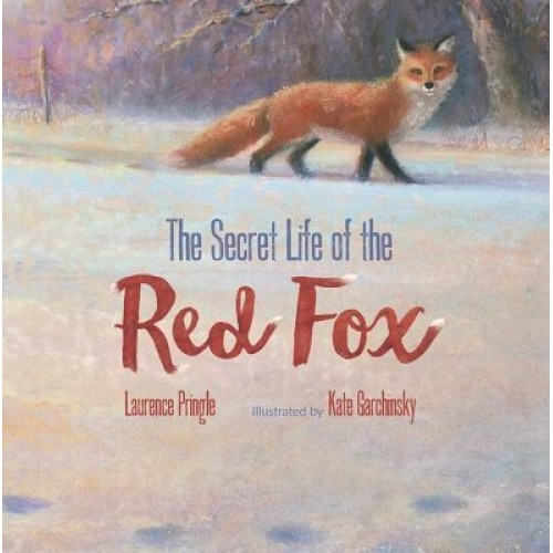 The Secret Life of the Red Fox, Laurence Pringle (Author)