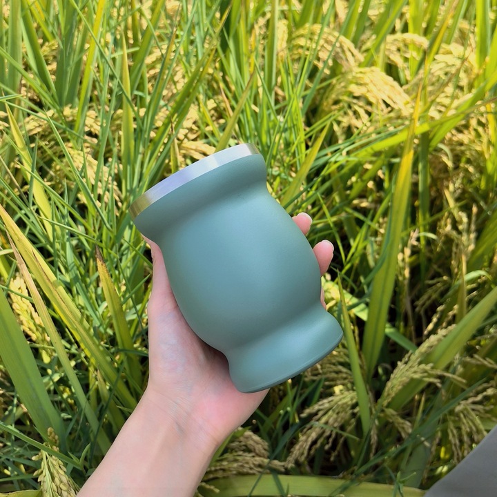 Set ceai mate ZYBLSSBB verde 230ml inox termic