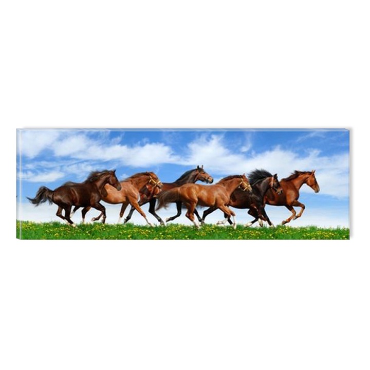 Картина Startonight DualView Диви коне, светлина в тъмнотo, 40 x120 см