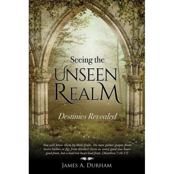 Seeing the Unseen Realm, James A. Durham (Author)