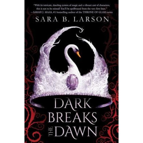 Dark Breaks the Dawn, Sara B. Larson (Author)