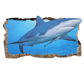 Poster 3D Startonight Rechin Prietenos, pentru camere copii, Luminos in intuneric, 0.50 x 0.80 m Poster 3D Startonight Rechin Prietenos, pentru camere copii, Luminos in intuneric, 0.50 x 0.80 m