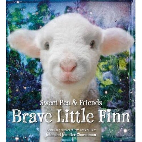 Brave Little Finn, Jennifer Churchman (Author)