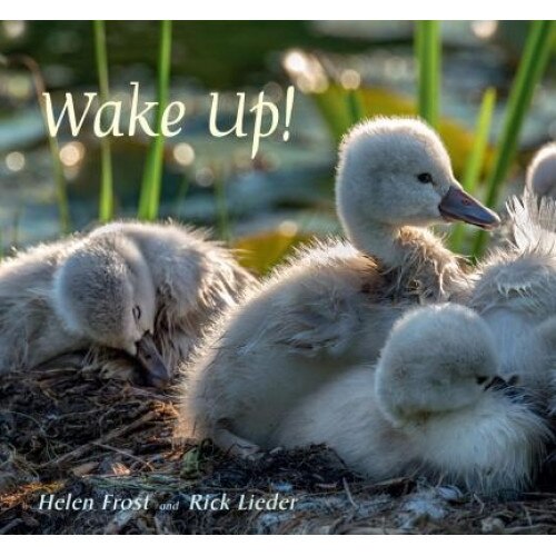 Wake Up!, Helen Frost (Author)