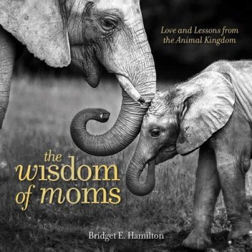 The Wisdom of Moms: Love and Lessons from the Animal Kingdom, Bridget E. Hamilton (Author)