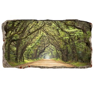 Cauți Tapet Verde Smarald Alege Din Oferta Emag Ro