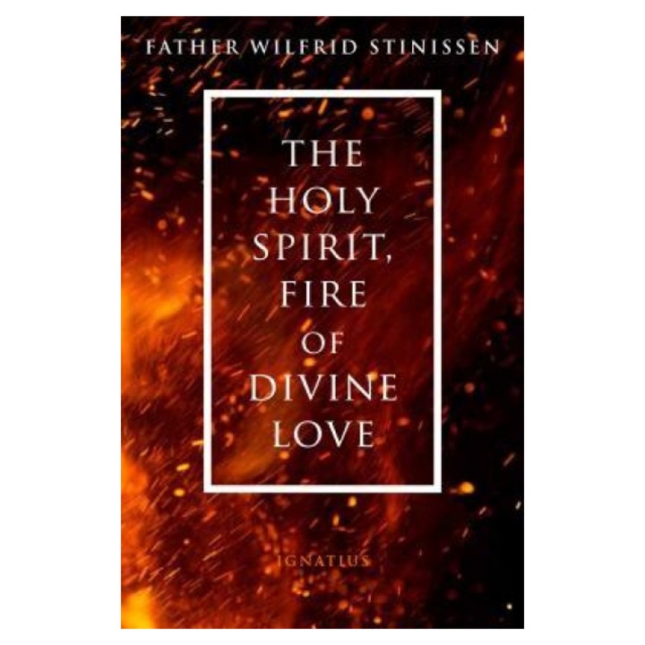 The Holy Spirit, Fire of Divine Love, Wilfred Stinissen