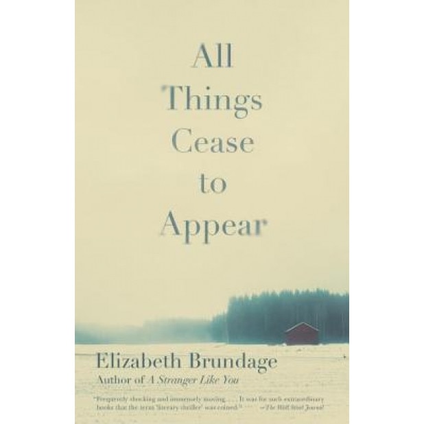 All Things Cease to Appear, Elizabeth Brundage (Author)
