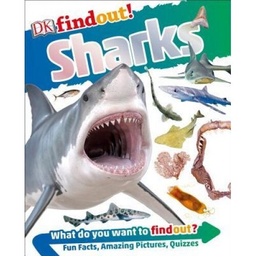 DK Findout! Sharks, DK (Author)