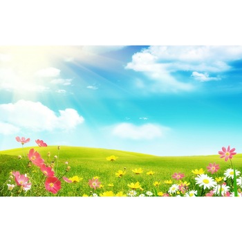 Fototapet Primavara pe campie 300 x 200 cm Fototapet Primavara pe campie 300 x 200 cm