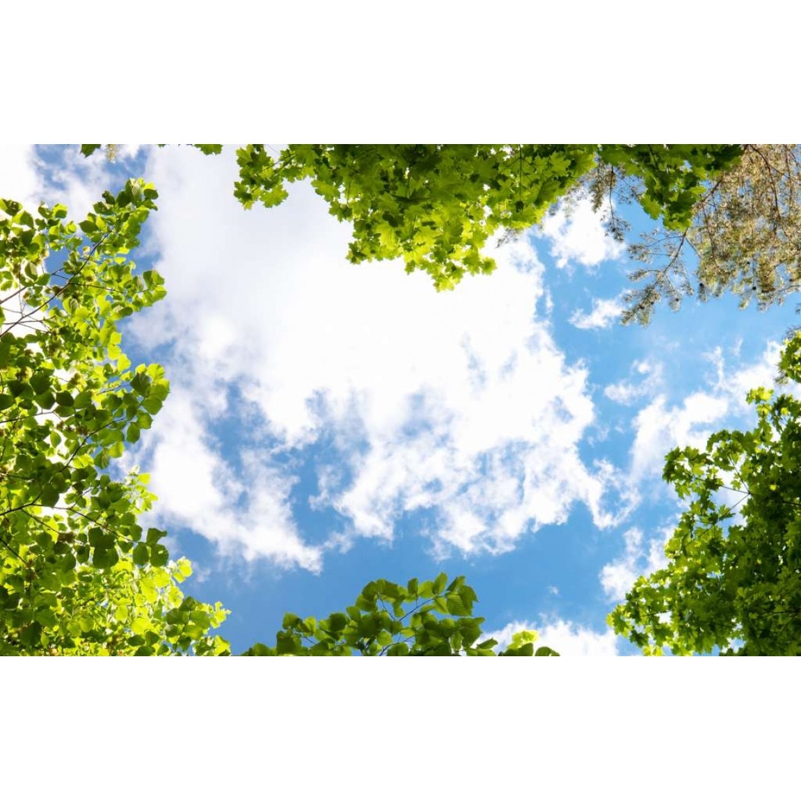 Tablou canvas Cu capul in nori (45 x 30 cm)