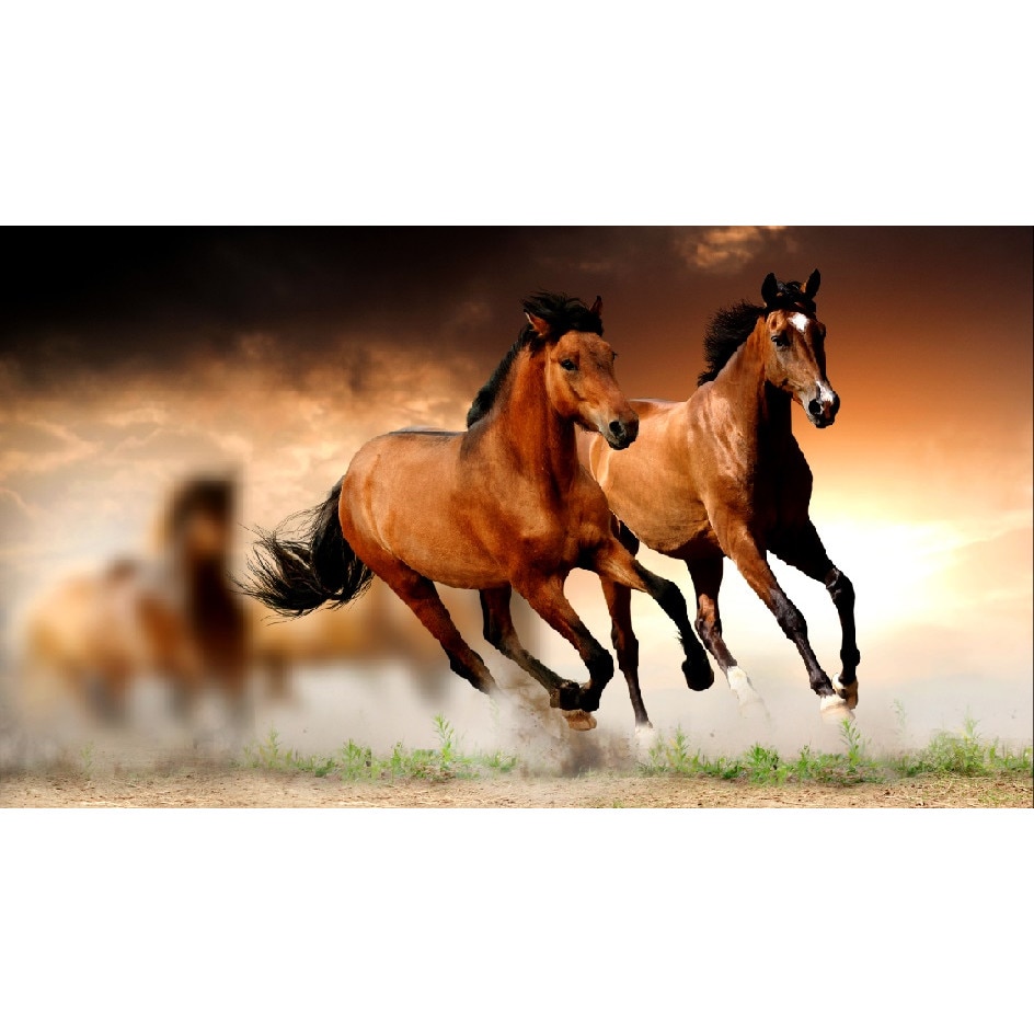 Fototapet din autocolant de perete Armasari in galop270 x 200 cm