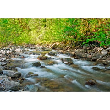 Fototapet Cascada printre pietre 300 x 200 cm Fototapet Cascada printre pietre 300 x 200 cm