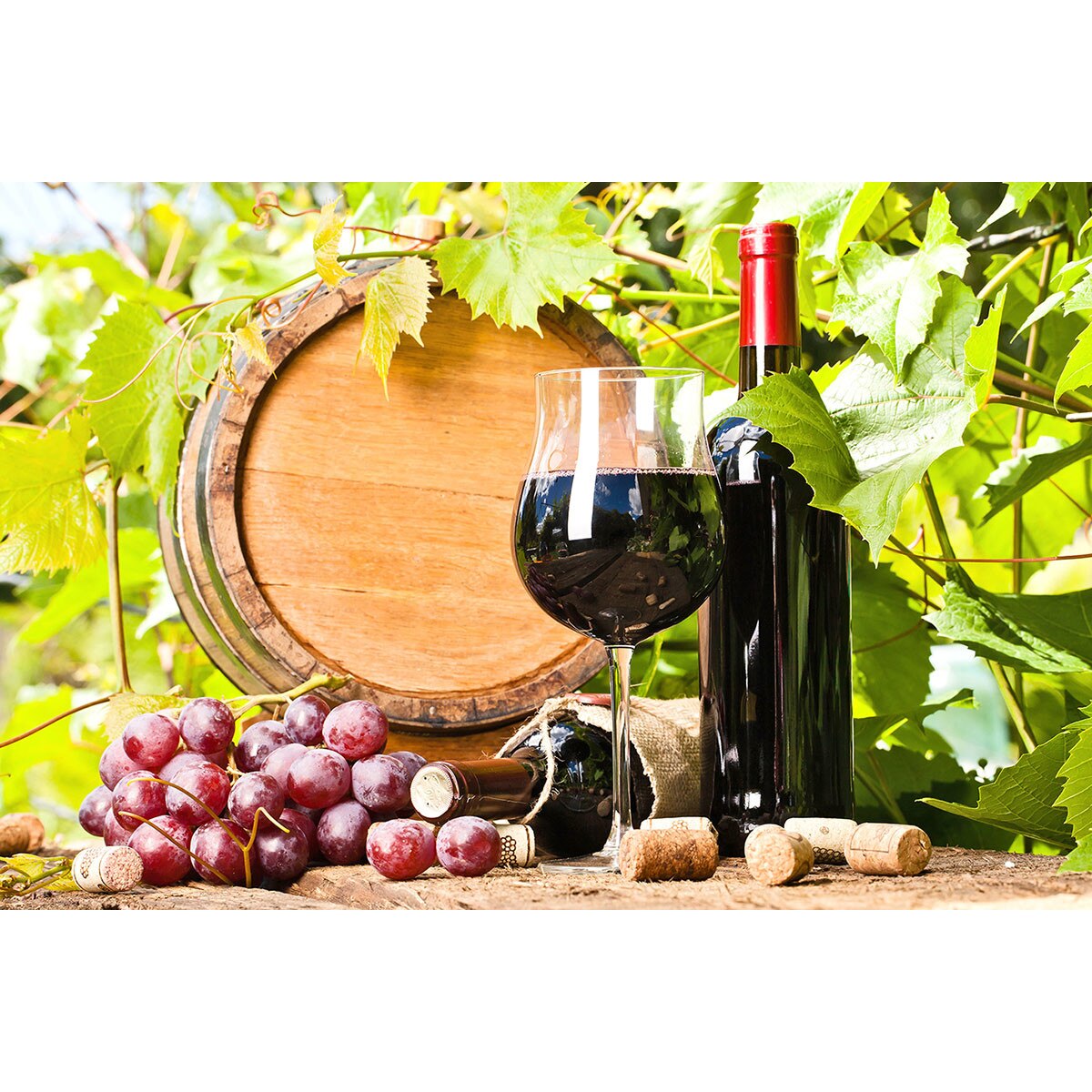 Autocolant de perete Recolta de toamna 200 x 135 cm