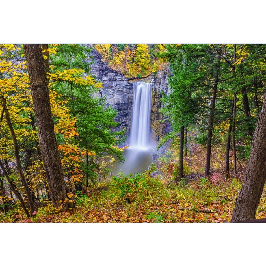 Fototapet Privire din padure (270 x 255 cm)