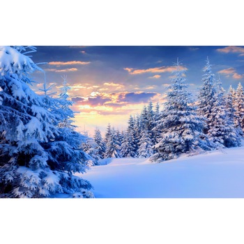 Fototapet de perete autoadeziv si lavabil Apus de soare iarna 270 x 200 cm Fototapet de perete autoadeziv si lavabil Apus de soare iarna 270 x 200 cm