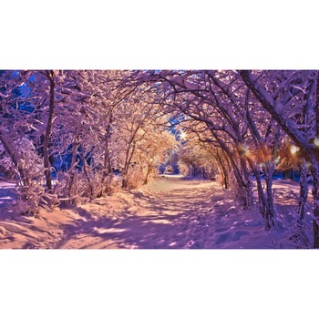 Tablou canvas Iarna violet (90 x 60 cm) Tablou canvas Iarna violet (90 x 60 cm)