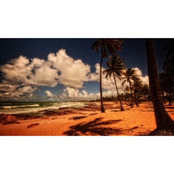 Tablou canvas Palmieri, mare si briza (75 x 50 cm) Tablou canvas Palmieri, mare si briza (75 x 50 cm)