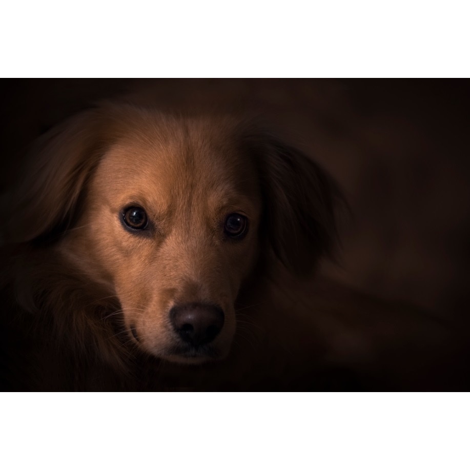 Fototapet Privire adanca 300 x 200 cm