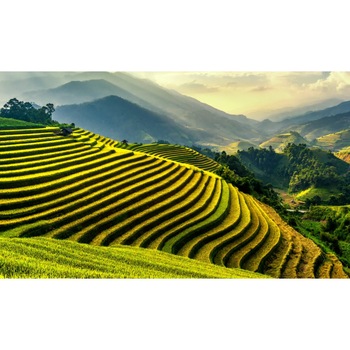 Fototapet din autocolant de perete Campie in trepte 270 x 200 cm Fototapet din autocolant de perete Campie in trepte 270 x 200 cm