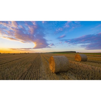 Tablou canvas Toamna pe camp (75 x 50 cm) Tablou canvas Toamna pe camp (75 x 50 cm)