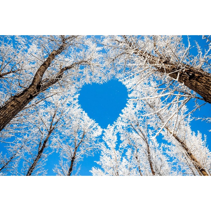 Fototapet Inima de gheata 300 x 200 cm