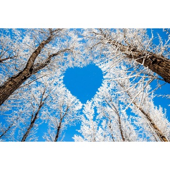 Fototapet Inima de gheata 300 x 200 cm Fototapet Inima de gheata 300 x 200 cm