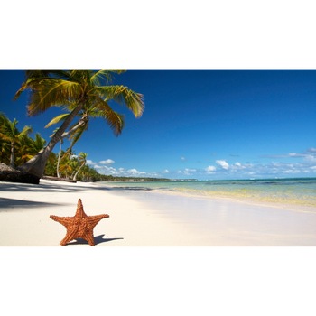 Fototapet de perete autoadeziv si lavabil Stea ratacind pe plaja 270 x 200 cm Fototapet de perete autoadeziv si lavabil Stea ratacind pe plaja 270 x 200 cm