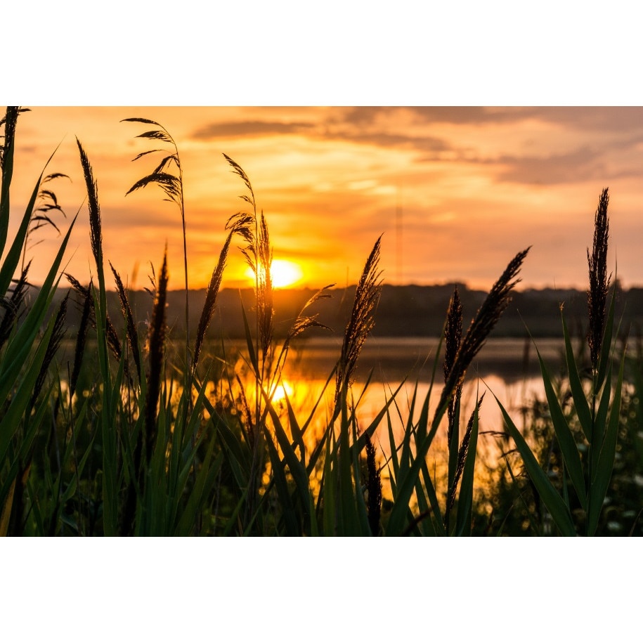 Fototapet Adiere de vant (380 x 255 cm)