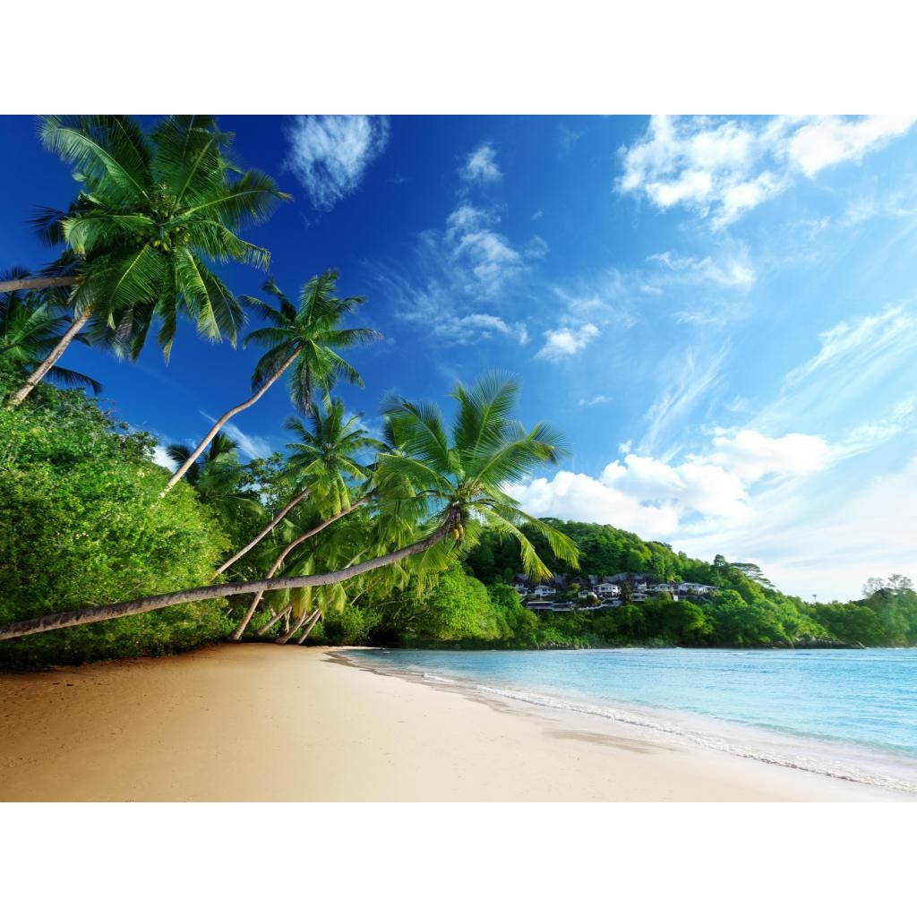 Fototapet Palmieri la malul marii 300 x 200 cm