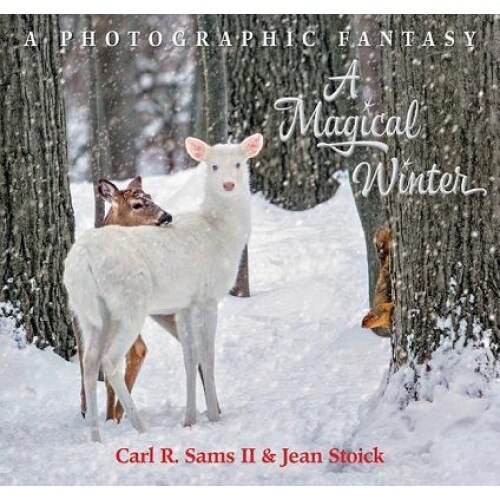 A Magical Winter, Carl R. Sams II (Author)