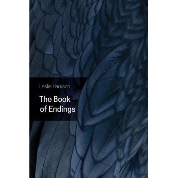 The Book of Endings, Leslie Harrison (Author)