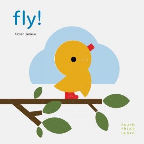 Touchthinklearn: Fly!, Xavier Deneux (Author)