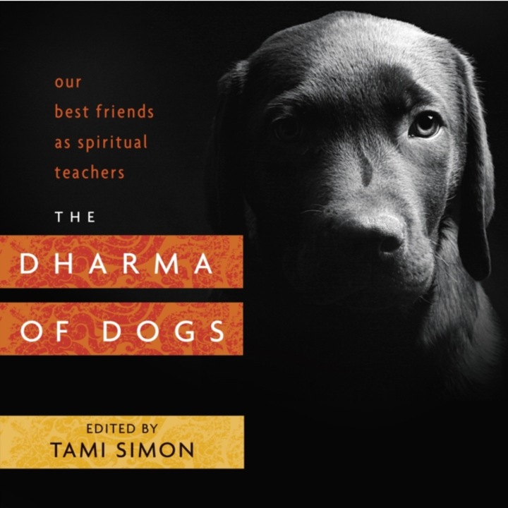 The Dharma of Dogs Our Best Friends as Spiritual Teachers, Tami Simon