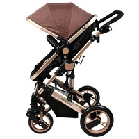 carucior 2 in 1 reversibil x-2 crocodile gold 0 36 luni imagen 43_1_
0
