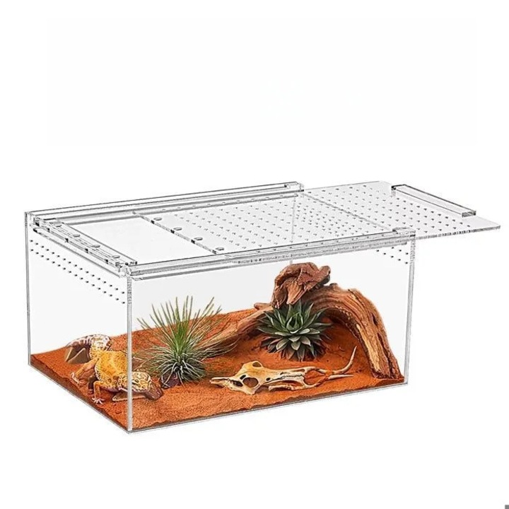 Kit terariu pentru reptile 12x7x6cm acrilic magnetic multicolor