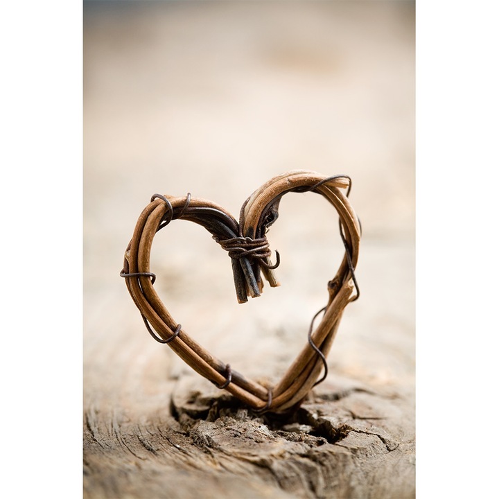 Tablou grand canvas "heart made from willow" - 80 x 120 cm