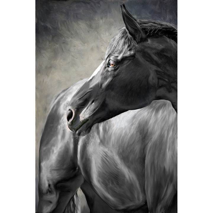 Tablou grand canvas "Portrait of a horse" - 70 x 100 cm