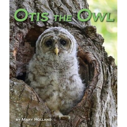 Otis the Owl, Mary Holland (Author)