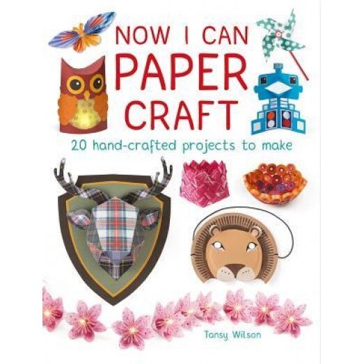 Now I Can Paper Craft: 20 Hand-Crafted Projects to Make, Tansy Wilson (Author)