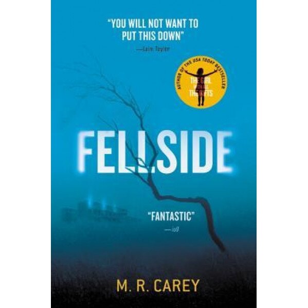 Fellside, M. R. Carey (Author)