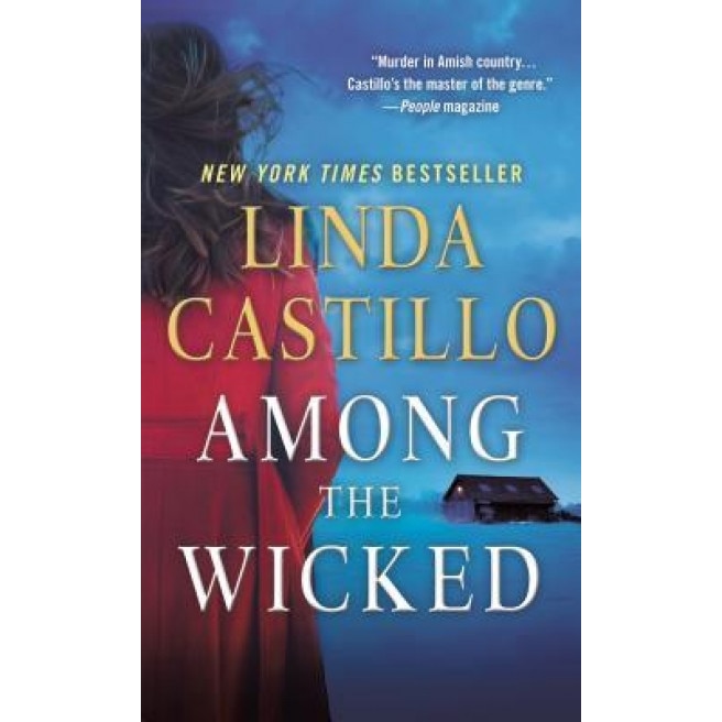 Among the Wicked: A Kate Burkholder Novel, Linda Castillo (Author)