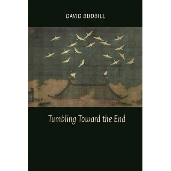 Tumbling Toward the End, David Budbill (Author)