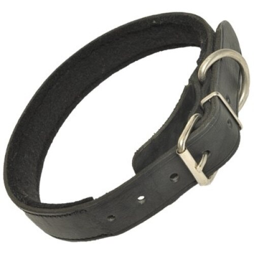 Zgarda piele naturala K9 Evolution - 2 cm