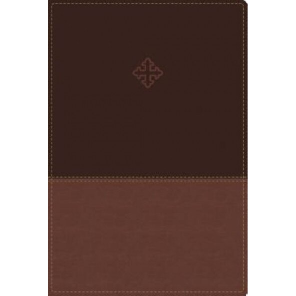 Amplified Study Bible, Imitation Leather, Brown, Zondervan (Author)